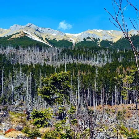 Peak - Bernard Stary Smokovec Aparthotel 3*